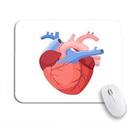 Tappetino per Mouse da Gioco Heart Muscular Organ in Humans And Animals Which Tappetino Mouse Pad Portatile Facile da Pulire Tappetino Mouse Gaming, per Gaming Mouse, Laptop, 25 x 30cm