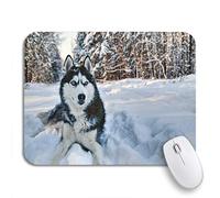 Tappetino per Mouse da Gioco Husky Dog Lying in The Snow Black And White Tappetini Mouse Facile da Pulire Antipolvere Sottomano, per Computer, Gioco, 25 x 30cm