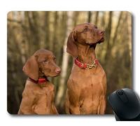Tappetino per mouse da gioco per mac e windows gamer Cane Viszla Close per donna/uomo / bambino venduto da Yanteng