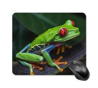 Tappetino per Mouse da Gioco Red Eyed Tree Frog Tappetino per Il Mouse Antiscivolo Facile da Pulire Lavabile Sottomano, per Laptop, Computer, Scrivania, 25x30cm