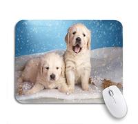 Tappetino per Mouse da Gioco Two Golden Retriever Puppy On Blue Under The Snow Tappetino Mouse Impermeabile Portatile Tappetino Mouse Gaming, per Laptop, Ufficio, 25 x 30cm