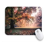 Tappetino Per Mouse Da Gioco Yellow Autumn Old Park In Fall Germany Europe Cool Tappetini Mouse Base Antiscivolo In Gomma Confortevole Tappetino Mouse Piccolo, Per Computer, Casa, 25 x 30cm