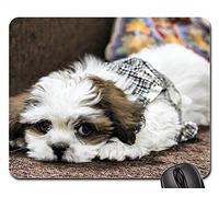 Tappetino per Mouse, Dog Noddy Lhasa Apso Pet Puppy Cute Adorable Gaming Pad Liscia Tampone per Mouse Confortevole Tappetino Mouse Pad per Laptop Ufficio 25X30Cm