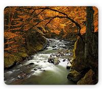 Tappetino per Mouse Fall River with Rocks in Fall Habitat Season Relaxing Idyllic Nature Theme Tappetino Mouse Piccolo Lavabile Confortevole Mousepad Forma Rettangolare, per Laptop, 25x30cm