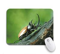 Tappetino Per Mouse Five Horned Rhinoceros Eupatorus Gracilicornis Also Known As Tappetino Mouse Pad Facile Da Pulire Tappetino Per Il Mouse Antiscivolo, Per Gaming Mouse, Computer, 25 x 30cm