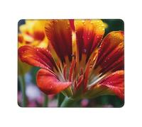 Tappetino per Mouse Flower Close-Up Print Tappetini Mouse Lavabile Portatile Sottomano, per Gaming Mouse, Ufficio, Scrivania, 25x30cm