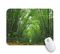 Tappetino per Mouse Green Branch Bamboo in Thailand Dense Chinese Tappetino Mouse Gaming Base Antiscivolo in Gomma Tappetino per Il Mouse Antiscivolo, per Casa, Computer, 25 x 30cm