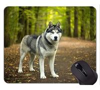 Tappetino per mouse in gomma naturale stampato con cane Pet Siberian Husky - Bordi cuciti