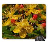 Tappetino per Mouse, Japan Plant Flowers The Bowes De Tappetino Mouse Gaming Antiscivolo Tappetini per Il Mouse Bordi Cuciti Mousepad per Pc Casa 25X30Cm