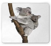 Tappetino per Mouse Koala Baby Australian Bear with Its Mother Climbing Up On A Branch Wild Animal Photography Tappetino Mouse Lavabile Mousepad Forma Rettangolare, per Laptop, Casa, 25x30cm