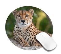 Tappetino per mouse lavabile per computer con base in gomma antiscivolo, ghepardo seduto, tappetino per mouse per computer portatile, accessori da scrivania, tappetino per mouse da gioco, per ufficio