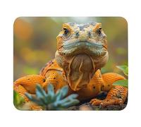 Tappetino Per Mouse Lizard In The Grass Tappetino Scrivania Con Bordi Cuciti Desk Mat Pulire Tappetino Mouse Gaming Per Laptop Ufficio Mac 25X30Cm