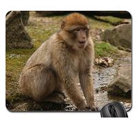 Tappetino per Mouse, Monkey Happy Animal Sweet Nature Cute Water Tappeto Mouse Ergonomico Gaming Pad Antiscivolo Tappetino Mouse per Computer Casa 25X30Cm