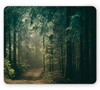 Tappetino per Mouse Mystic Photo of A Countryside Path Into Woods Tappetino Mouse Gaming Antipolvere Base Antiscivolo in Gomma Mousepad Forma Rettangolare, per Computer, Laptop, Casa, 25x30cm