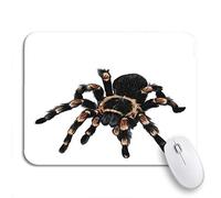 Tappetino Per Mouse Nature Spider Tarantula Color Drawing Activity Africa Mousepad Forma Rettangolare Impermeabile Lavabile Tappetino Mouse Gaming, Per Computer, Laptop, 25 x 30cm
