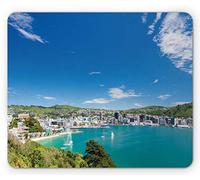 Tappetino per Mouse New Zealand Mountain Into The bay of Wellington Capital City Landmark Skyline Tappetino per Il Mouse Antiscivolo Antipolvere Sottomano, per Scrivania, Laptop, Casa, 25x30cm