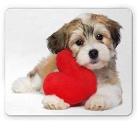 Tappetino per Mouse Nursery Lover Valentine Havanese Puppy Dog with A Red Heart Valentine's Day Theme Tappetino Mouse Gaming Antipolvere Mousepad Forma Rettangolare, per Scrivania, 25x30cm