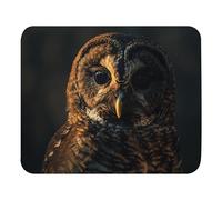 Tappetino per Mouse Owl in The Evening Light Mouse Pad Confortevole Mouse Mat Una Presa Stabile su Superfici Lisce Tappetino Mouse Gaming per Pc Computer Portatile Gaming 25X30Cm