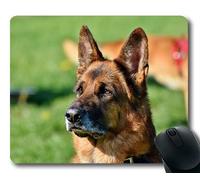 Tappetino per mouse personalizzato, Animali domestici per cani Tappetini per mouse, Schäfer Dog Guard Dog Dog Dog Head Muso Attenzione