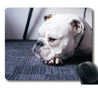 Tappetino per mouse personalizzato, Cani Galore Mouse Pad, Cane Animale Bulldog Pet Puppy Cute Portrait Bianco, cani Tappetino per mouse da gioco