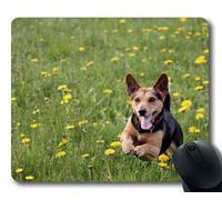Tappetino per mouse personalizzato, cuccioli di cani animali domestici Tappetini per mouse, Prato per cani Gioca Race Fun Action Romp Run Jump, dogs Gaming tappetino per mouse