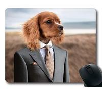 Tappetino per mouse personalizzato, cucciolo di cane golden retriever, cucciolo di cane Cane giovane Simpatico cane piccolo Animale domestico, cani Tappetino per mouse da gioco