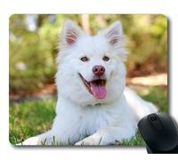 Tappetino per mouse personalizzato, cucciolo di cane golden retriever, cucciolo di cane Lapphund Love Cute Baby White Cream, cani Tappetino per mouse da gioco