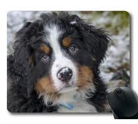 Tappetino per mouse personalizzato, Cute Cani, Cucciolo di cane Animale domestico Canino Animale di razza Purosangue, cani Tappetino per mouse da gioco