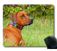 Tappetino per mouse personalizzato, Cute Dogs, Cane di razza Rhodesian Ridgeback Cane di razza grande, cani Tappetino per mouse da gioco