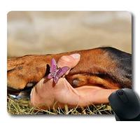 Tappetino per mouse personalizzato, Cute Dogs, Dog Paw Dog I Have Doberman Amicizia, cani Tappetino per mouse da gioco