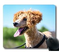 Tappetino per mouse personalizzato, Mouse pad da gioco Lovely Pug Dog, Animali da compagnia Teddy Puppy Walking The Dog Animal, dogs Tappetino per mouse da gioco