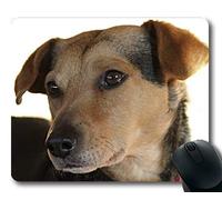 Tappetino per mouse personalizzato, Mouse pad da gioco Lovely Pug Dog, Cane ibrido Cane di razza mista Ritratto Animale domestico, cani Tappetino per mouse da gioco