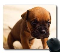 Tappetino per mouse personalizzato, Mouse pad da gioco Lovely Pug Dog, Puppy Dog Pet Cute Brown Sitting Sad Portrait, dogs Tappetino per mouse da gioco