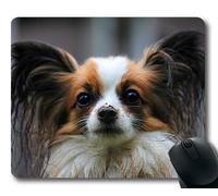 Tappetino per mouse personalizzato, Mouse pad personalizzato Cane divertente, Cane di papillon Animale, cani Tappetino per mouse da gioco
