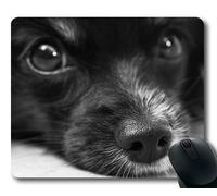 Tappetino per mouse personalizzato, Puppy Thick Mousepad, Cucciolo di cane Papillon Occhi Muso Naso Capelli Faccia, cani Gaming tappetino per mouse