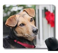 Tappetino per Mouse Personalizzato, Tappetino Mouse per Cane da Gioco, Cane Ibrido Marrone Ritratto Cane Testa Cane Guarda Pelliccia, Cani Tappetino per Mouse da Gioco