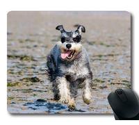 Tappetino per mouse personalizzato, Tappetino mouse per cani da gioco, Schnauzer Miniature Schnauzer Dog Running Happy, cani Tappetino per mouse da gioco