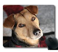 Tappetino per mouse personalizzato, Tappetino per mouse amante dei cani, Cane ibrido Cane di razza mista Ritratto Animale domestico01, cani Tappetino per mouse da gioco