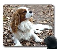 Tappetino per mouse personalizzato, Tappetino per mouse amante dei cani, Cane piccolo di razza pura, cani Tappetino per mouse da gioco