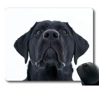 Tappetino per mouse personalizzato, Tappetino per mouse amante dei cani, Cane The Animal Kingdom Cute Pet Mammiferi, cani Tappetino per mouse da gioco