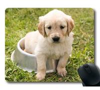 Tappetino per Mouse Personalizzato, Tappetino per Mouse Amante dei Cani, Cucciolo di Cane Golden Retriever nell'animale Giovane Libero, Cani Tappetino per Mouse da Gioco