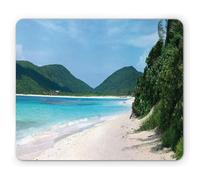 Tappetino per Mouse Puerto Rico Flamenco Beach On The Island of Culebra Summer Season Getaway Theme Tappetino Mouse Pad Antipolvere Portatile Sottomano, per Computer, Laptop, 25x30cm