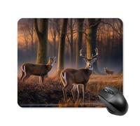 Tappetino per mouse quadrato con animali selvatici della natura, tappetino per mouse portatile con base in gomma antiscivolo, 25 x 30 cm, ultra sottile, per computer, laptop, accessori da scrivania da