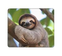 Tappetino per mouse quadrato con base in gomma antiscivolo, 25,4 x 30,5 cm, con bordo cucito, un bradipo su un ramo di albero, tappetino per mouse wireless per computer, laptop, casa, ufficio