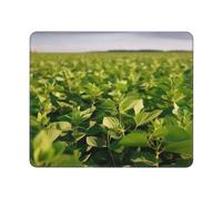 Tappetino per mouse quadrato con campo di soia con base in gomma antiscivolo, 25,4 x 30,5 cm, tappetino per mouse personalizzato per mouse wireless per laptop accessori da scrivania da ufficio