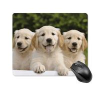 Tappetino per mouse quadrato con cuccioli di Golden Retriever, ultra sottile, superficie liscia e base in gomma antiscivolo, impermeabile, confortevole, per computer portatili, 18 x 22 cm