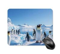 Tappetino per mouse quadrato con pinguino Antartide Ice Tappetino per mouse portatile con base in gomma antiscivolo, 20 x 25 cm, ultra sottile, per computer, laptop, accessori da scrivania da ufficio