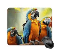Tappetino per mouse quadrato con simpatici pappagalli, ultra sottile, superficie liscia e base in gomma antiscivolo, impermeabile, confortevole, per computer portatili, 25 x 30 cm