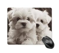 Tappetino per mouse quadrato con simpatico cucciolo di maltese, tappetino per mouse portatile con base in gomma antiscivolo, 18 x 22 cm, ultra sottile, per computer, laptop, ufficio, accessori da