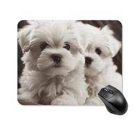 Tappetino per mouse quadrato con simpatico cucciolo di maltese, tappetino per mouse portatile con base in gomma antiscivolo, 20 x 25 cm, ultra sottile, per computer, laptop, ufficio, accessori da